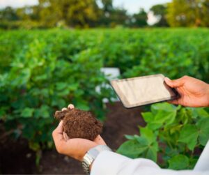 A gardener taking pictures of a handful of garden soil with their phone.