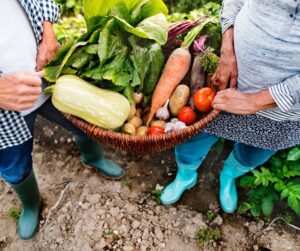 Gardeners holding a basket of garden fresh produce.