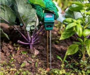 Quick and easy to used garden soil probe that tests for pH, light, and soil moisture inserted into the ground near a kale and basil plant.