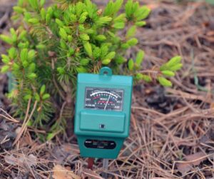 A garden soil probe that measures light exposure, moisture and pH.