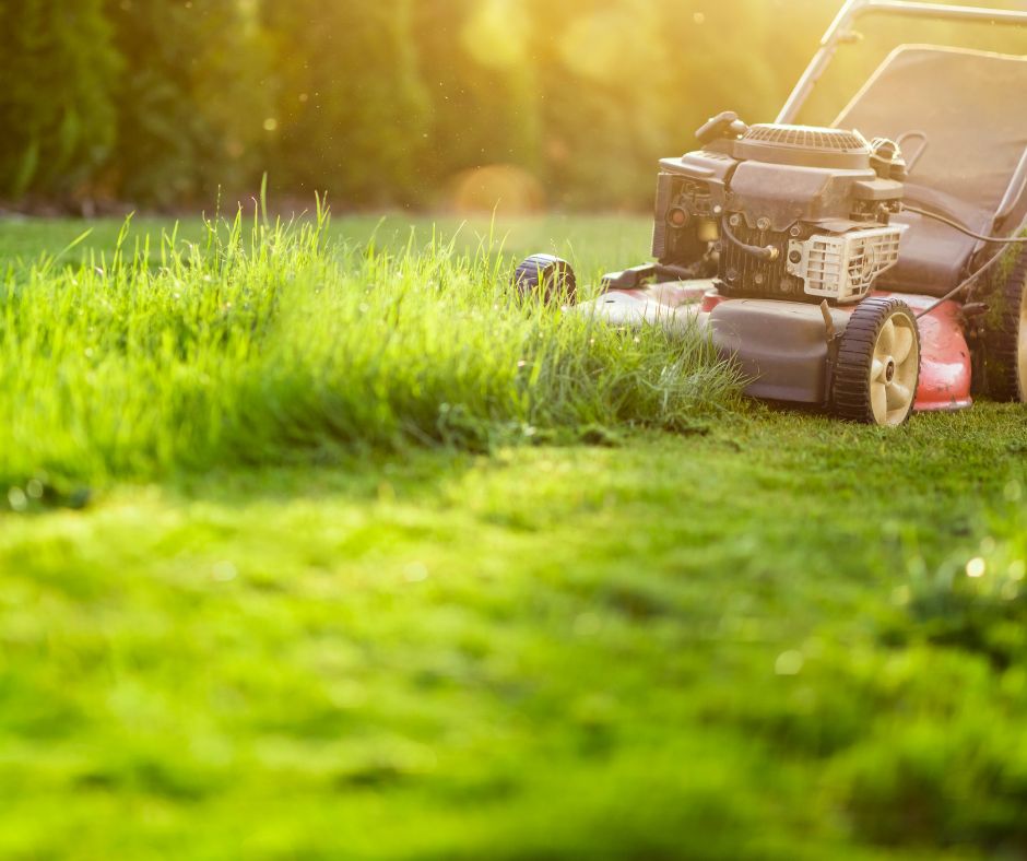 A well maintained lawn mower cutting tall green grass on a sunny summer day.
