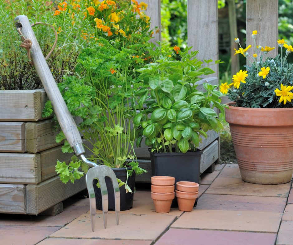 A patio filled with outdoor potted plants of different shapes and sizes. Including flowers, rosemary, basil, and parsley.