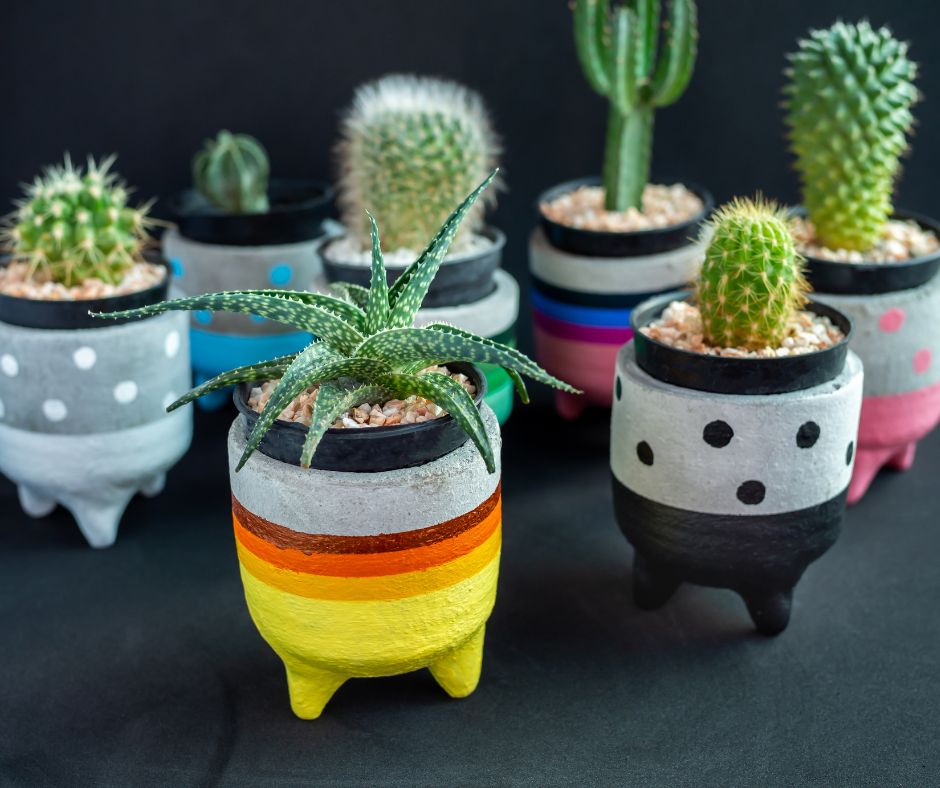 An assortment of brightly colored tiny ceramic planters each with a different type of succulent growing in it.