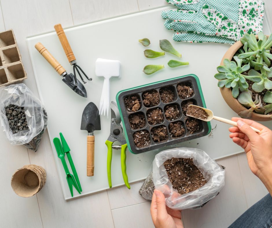 A gardener filling a plastic multi cell plant starting tray with soil surround by gardening tools and a pot of succulent plants.