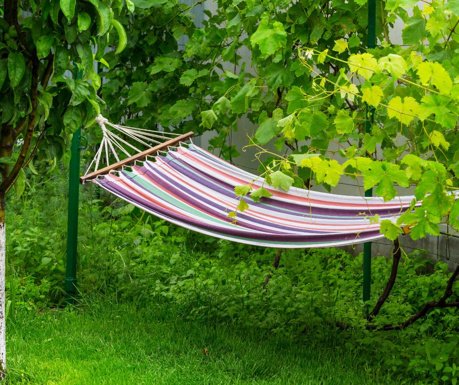 A colorfully striped hammock surround by green grape vines and fruit trees.