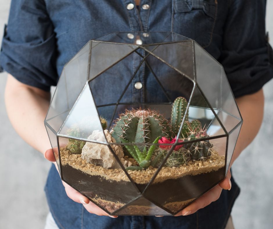 A person in a blue shirt holding a completed triennium featuring a tiny desert complete with cacti.