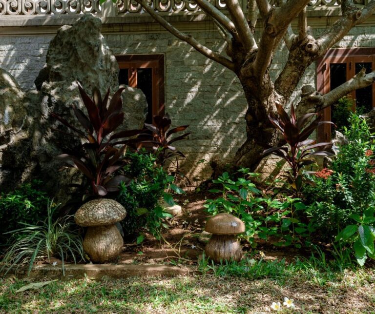 A garden benefiting from the shade of a large tree near a home.
