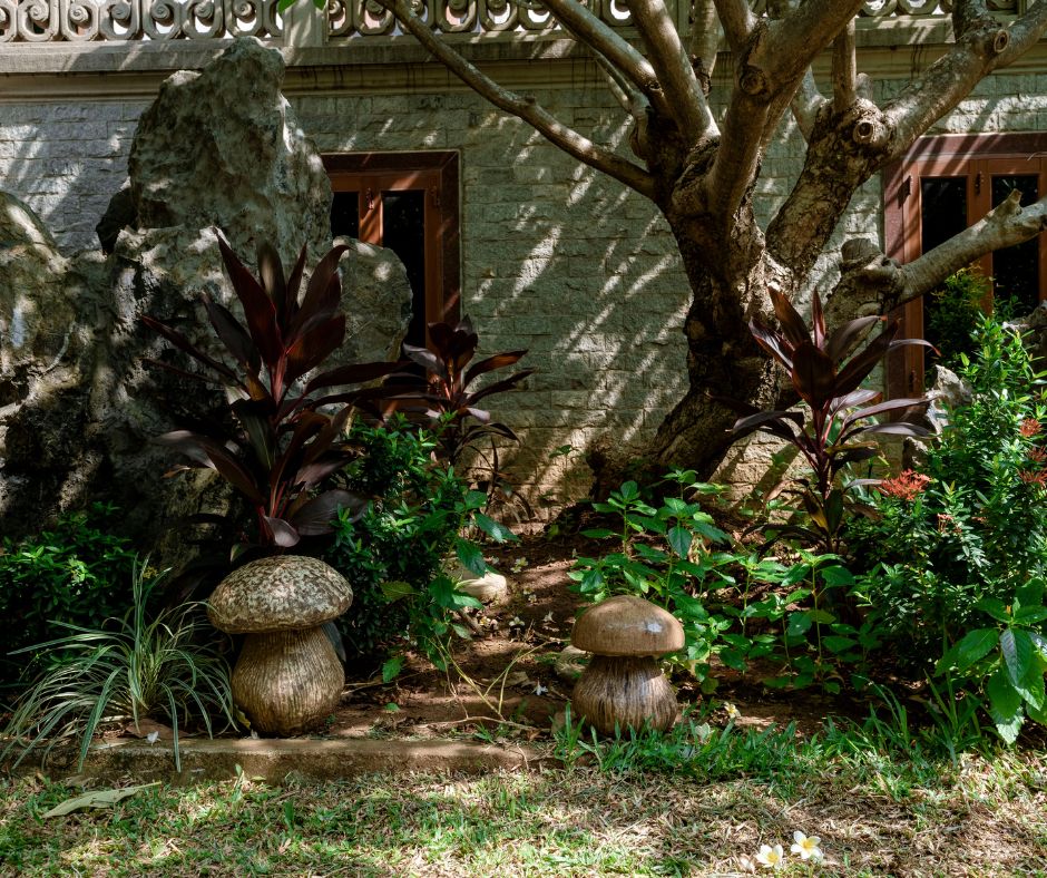 A garden benefiting from the shade of a large tree near a home.