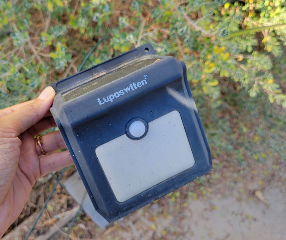 A simple solar light with motion detector for light paths and scaring off stray cats at night.