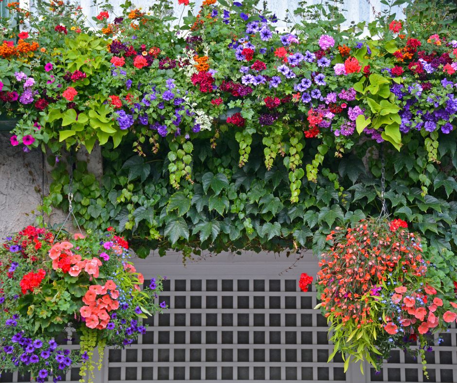 A colorful living wall of trailing plants and hanging baskets fill with flowers.