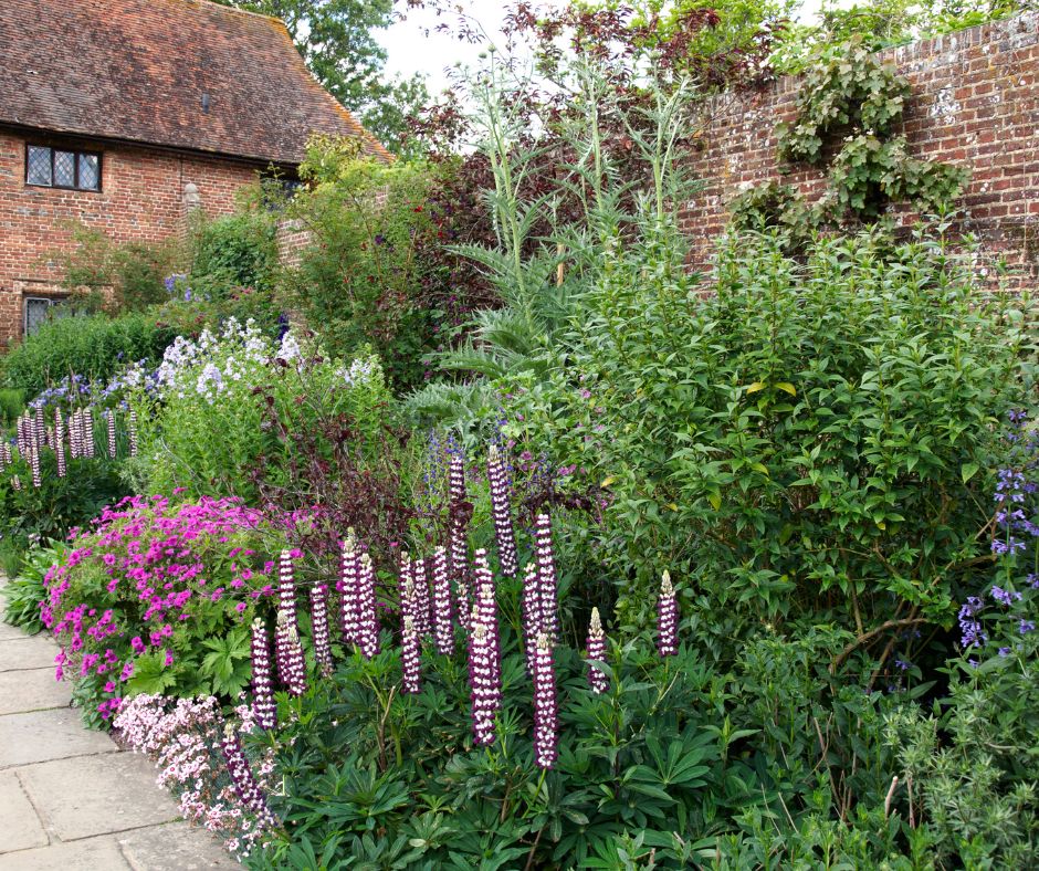 A brick cottage style courtyard garden full of brightly flowering annual and perennial plants.