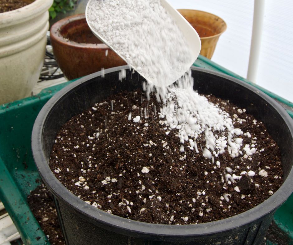 A white scoop adding perlite to a pot of potting soil.