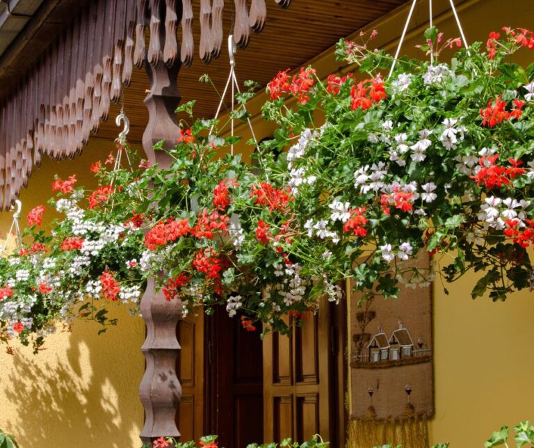 A row of 3 hanging basket planters with flowering plants on a front patio.