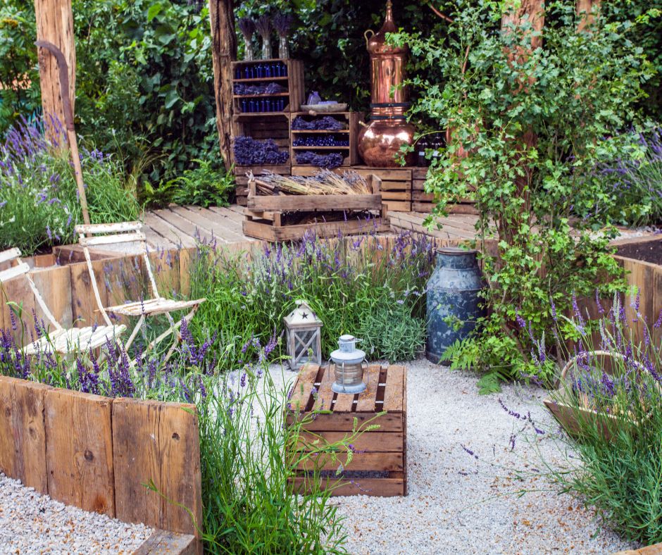 A lavender theme garden area with a pea gravel seating area. A lavender flower processing are behind the sitting area including a copper still.