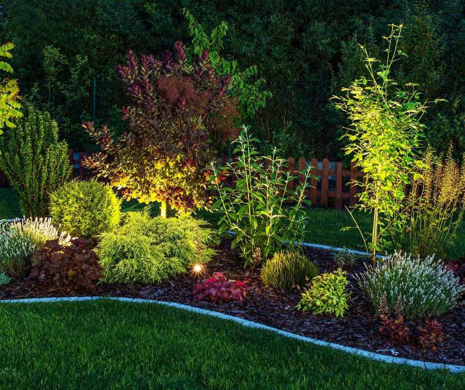 A variety of small trees and hedges with subtle landscape lighting.