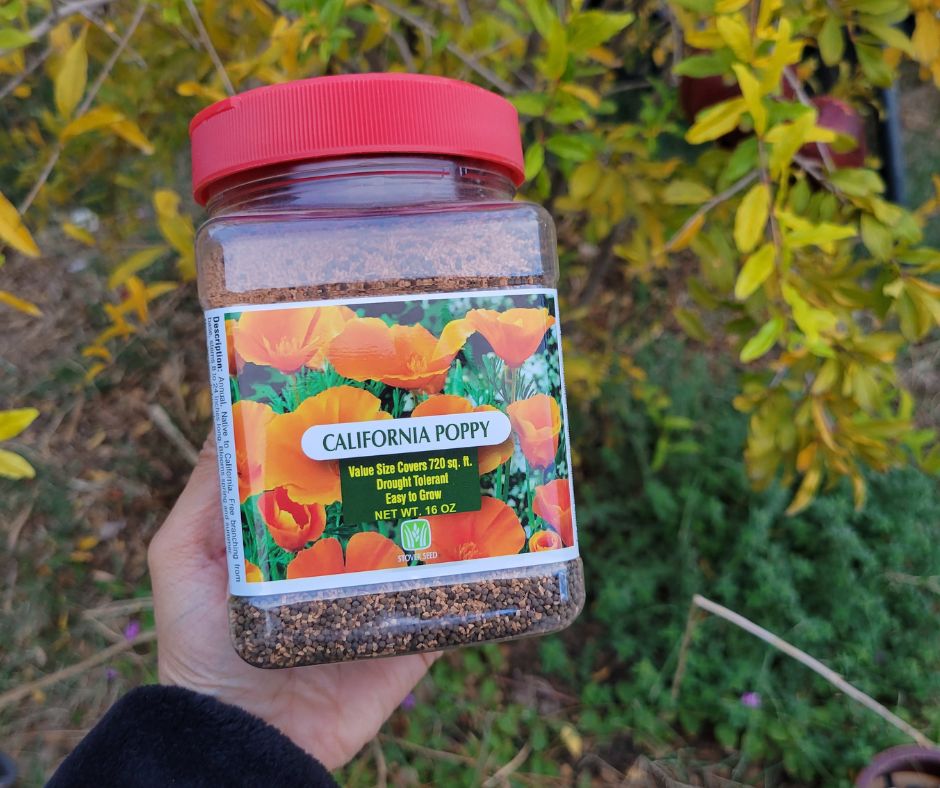 A large container of California poppy seeds.