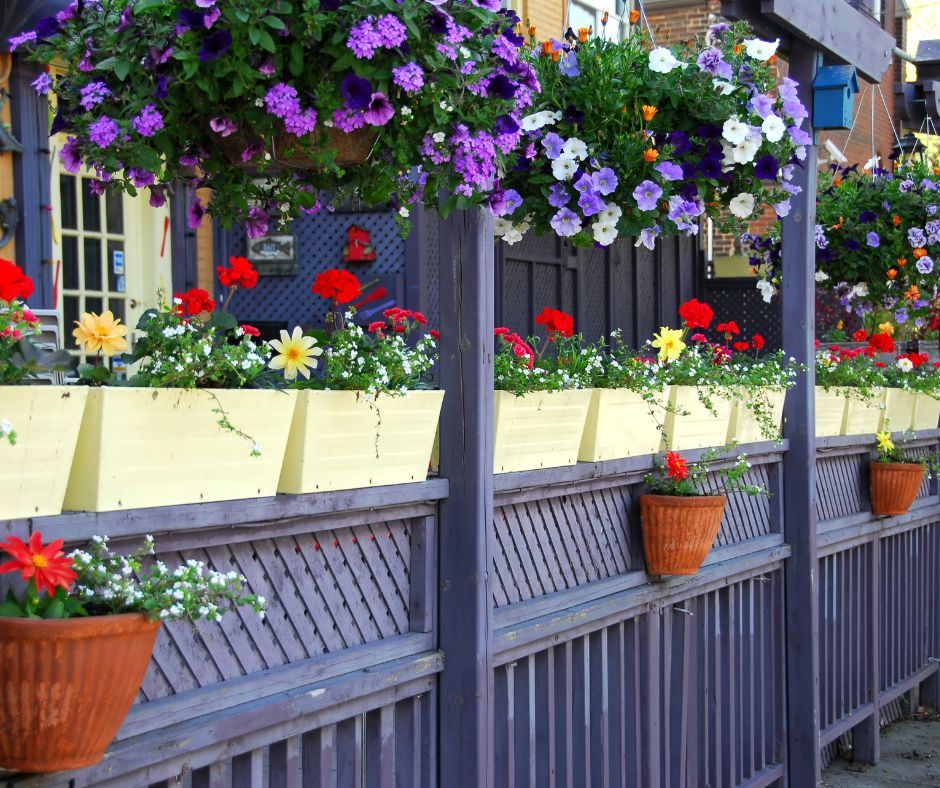 Colorful hanging baskets and planters full of flowers on a private purple patio.