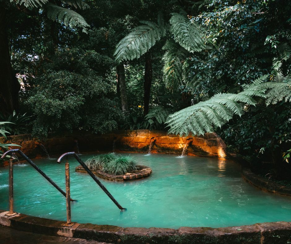 A small private heated outdoor pool with several fountains and an island of plants. Surrounded by dense foliage.
