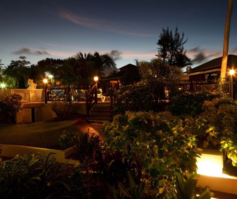 A well lit backyard garden with motion detector lights.