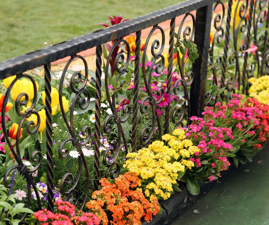 Decorative iron low garden fence with flowers on both sides.