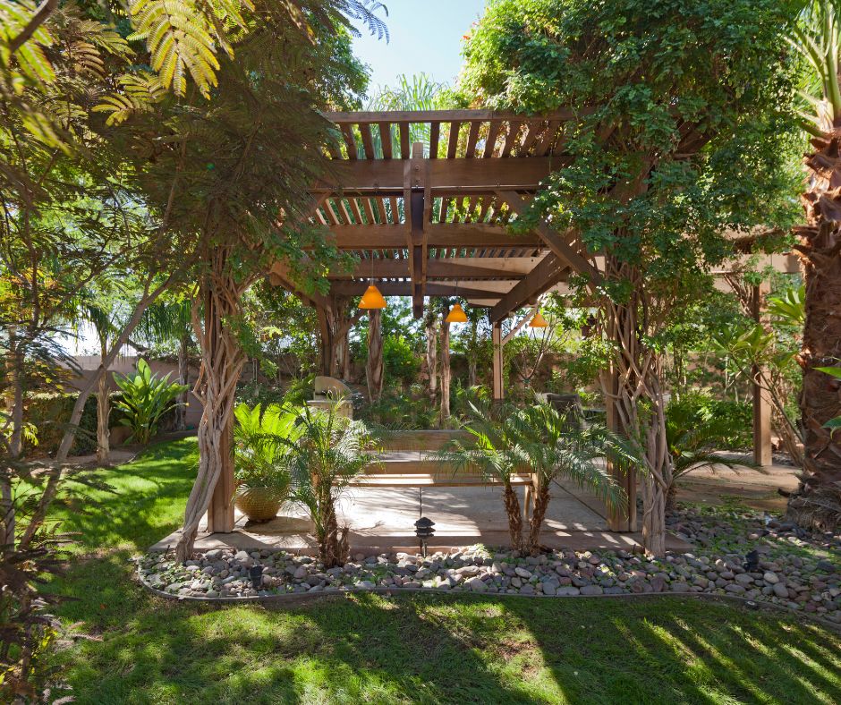 A pergola with climbing vines shading an outdoor entertainment area surrounded by grass and lush semi tropical plants.