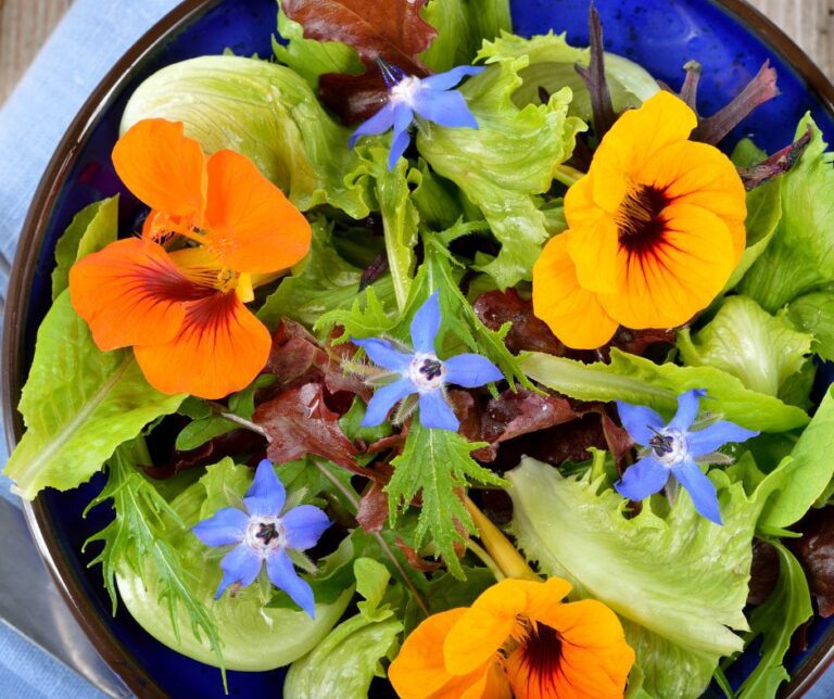 A salad toped with edible flowers including borage and nasturtium flowers.