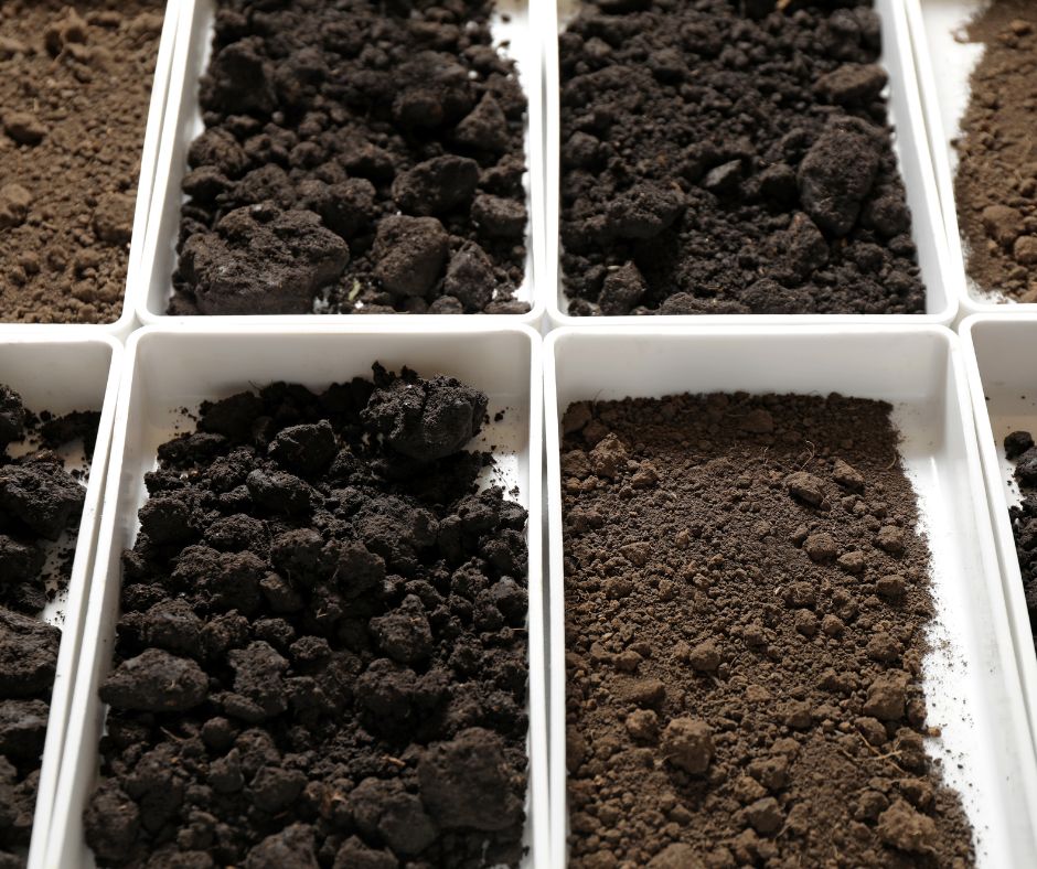White trays holding different types of soil. Soil temperature can vary in the same location due to type of soil present. 