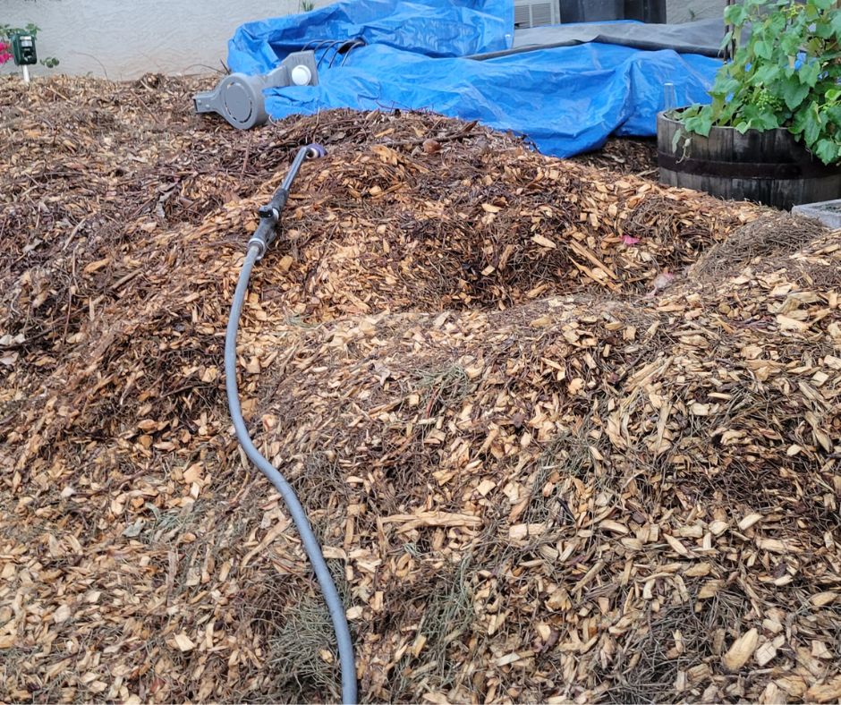 A large pile of wood chips partially covered by a blue tarp. A water hose and sonic cat deterrent on top of the exposed wood chips.