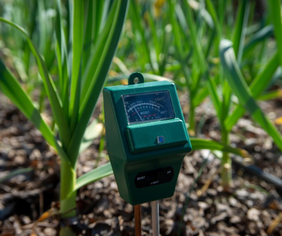 A soil probe that measures soil moisture, pH and light exposure.