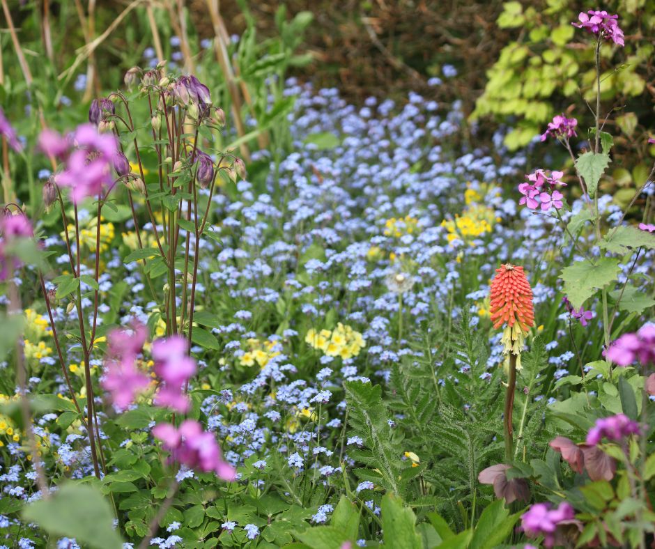 A flower garden full of different types of plants with blue, purple and yellow flowers.