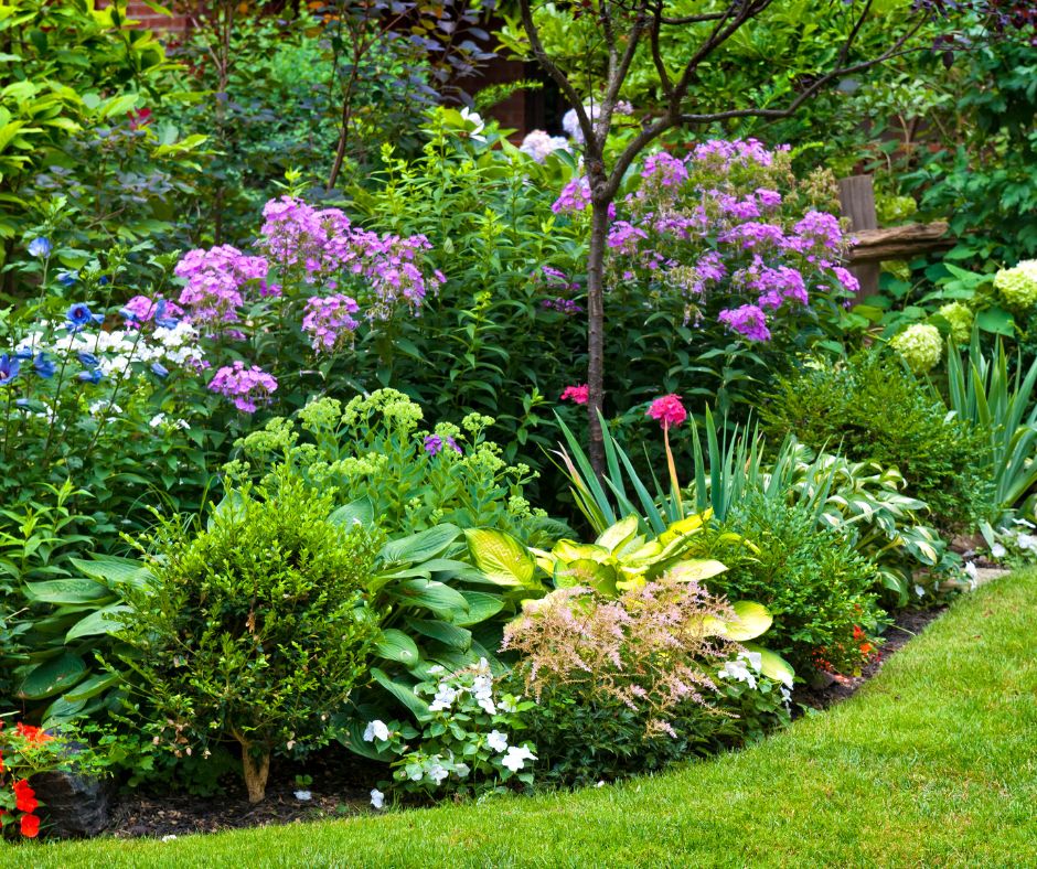 A garden with lots of flowers blooming and a mix of plants.