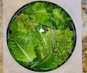 A stainless steel bowl of easy to grow leaf lettuce on a marble counter.