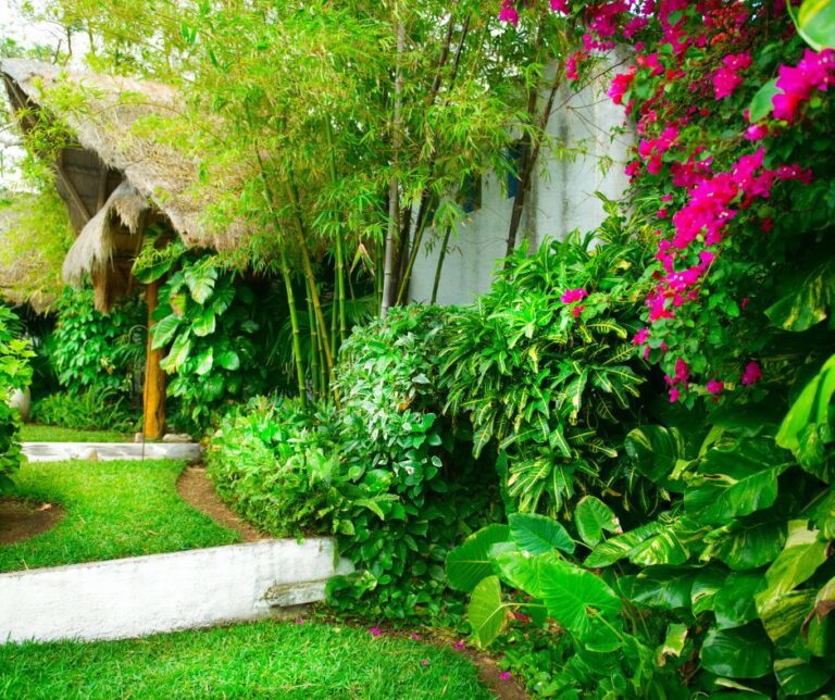 A home surrounded by lush subtropical landscaping.