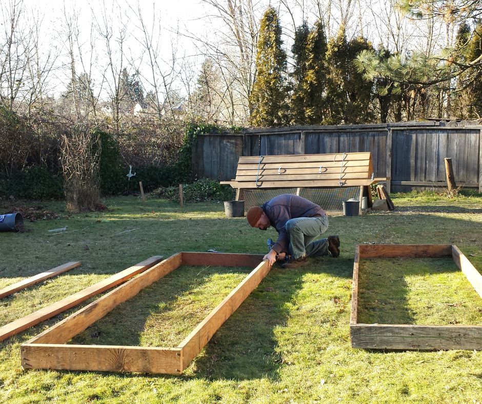 Aman building wood raised bed frames on grass in front of a chicken coop.