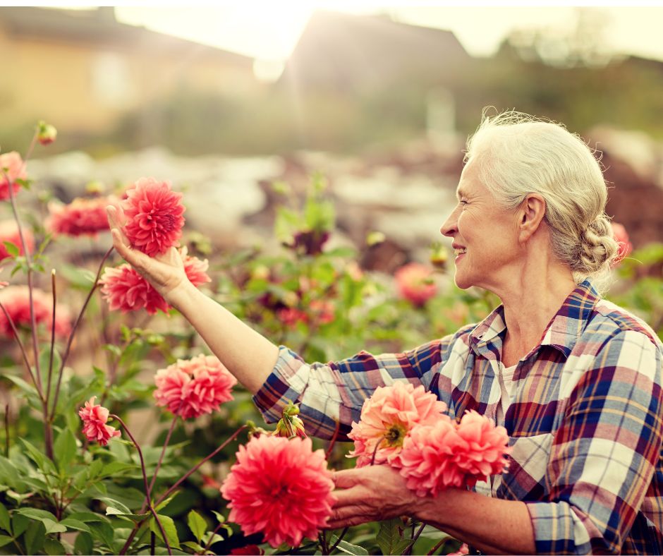A woman admiring her flower garden.