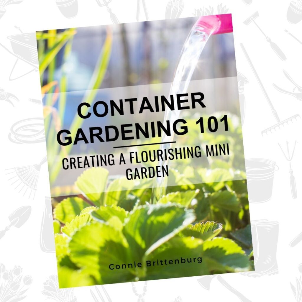 A book with an image of a garden being watered. Title Container Gardening 101: Creating a Flourishing Mini Garden. 