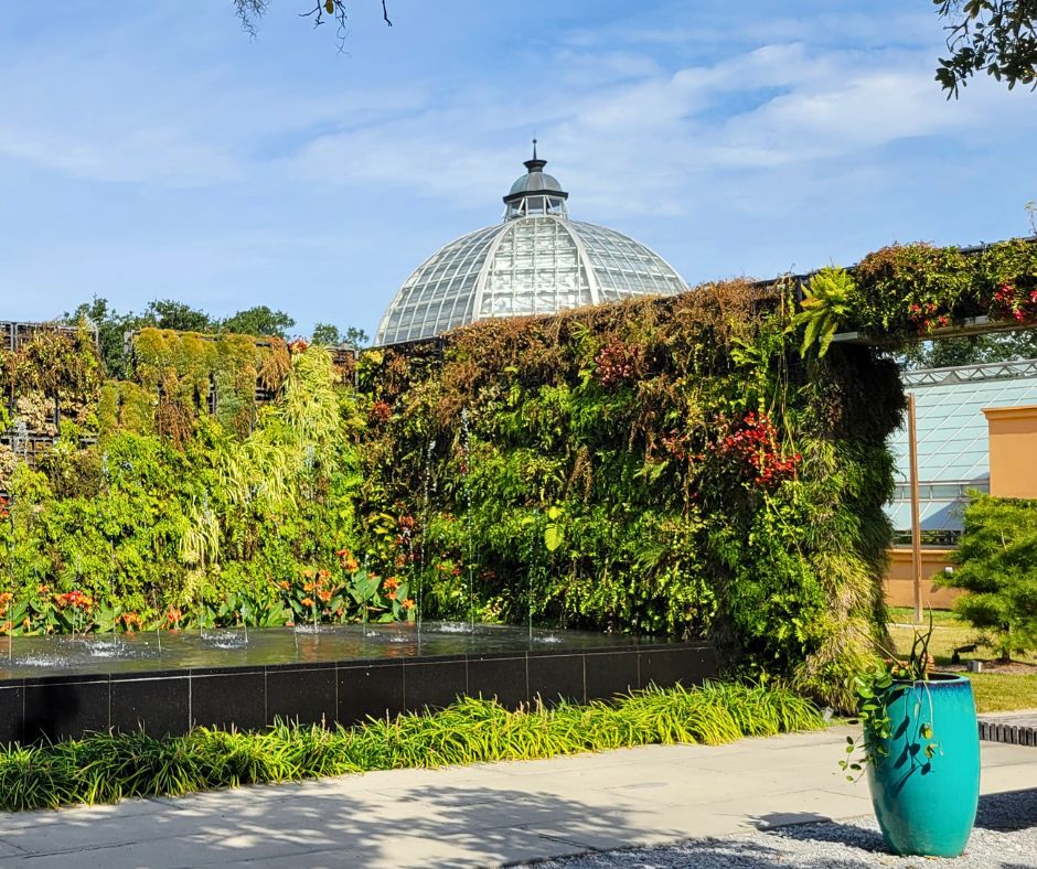 A large living wall at the New Orleans Botanical Gardens composed of a diversity of plants surrounding a water feature.