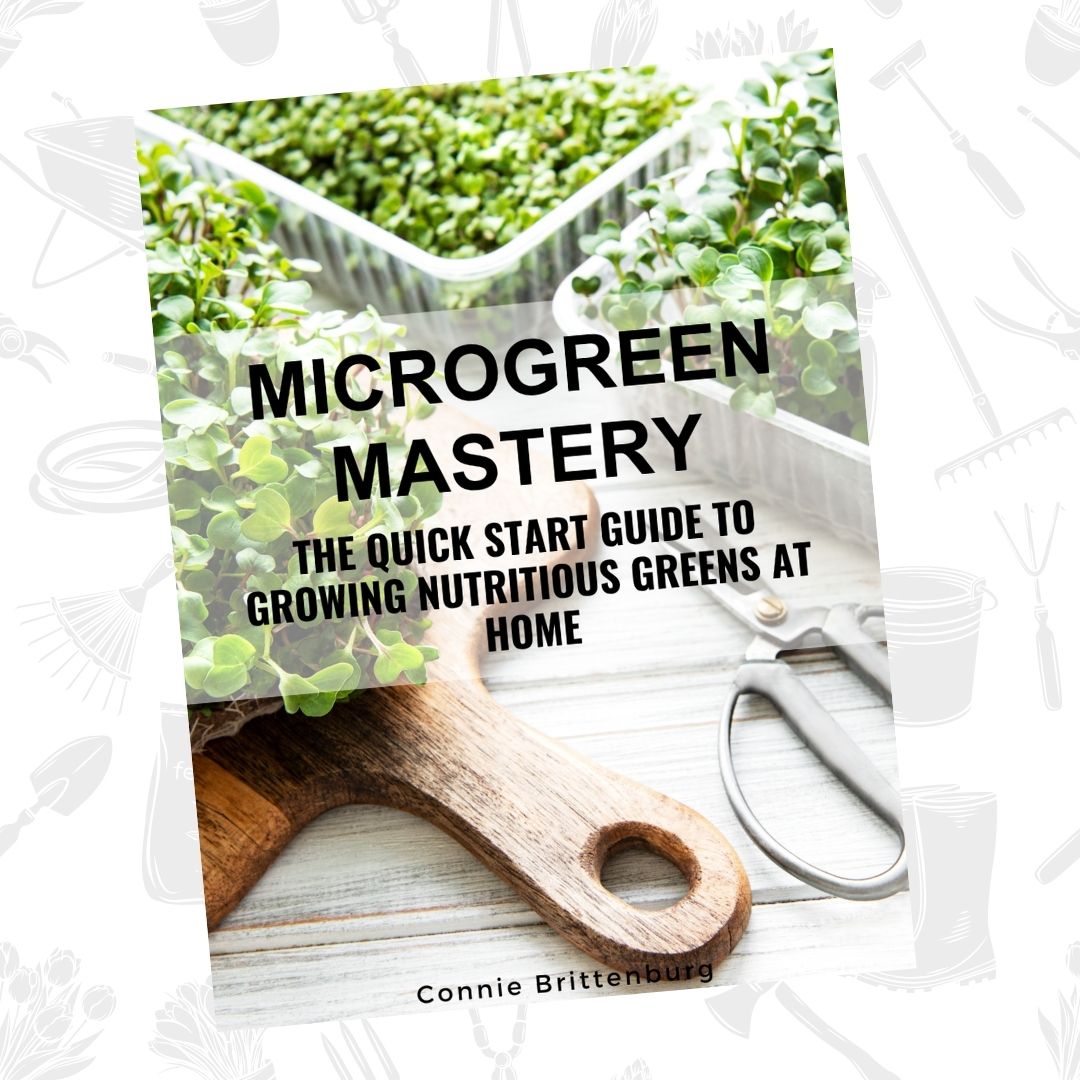 A book cover with a picture of multiple trays of microgreens on a table. The title is Microgreen Mastery: The Quick Start Guide to Growing Nutritious Greens at Home