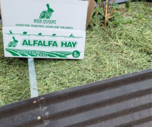 A box of alfalfa hay on a recently mulch garden bed.