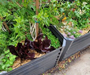 A metal garden beds full of thriving flowers and vegetables.