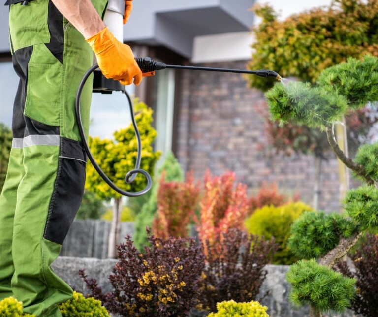 A gardener spraying yard for mosquitoes