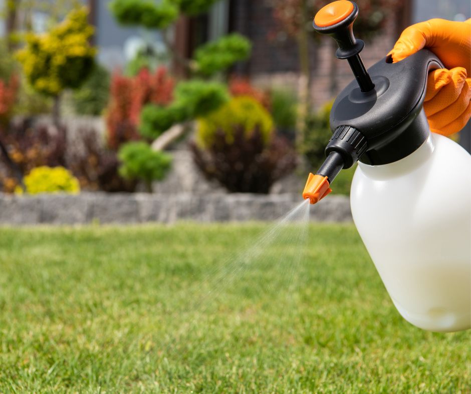 A person spraying a lawn with a hand held sprayer.