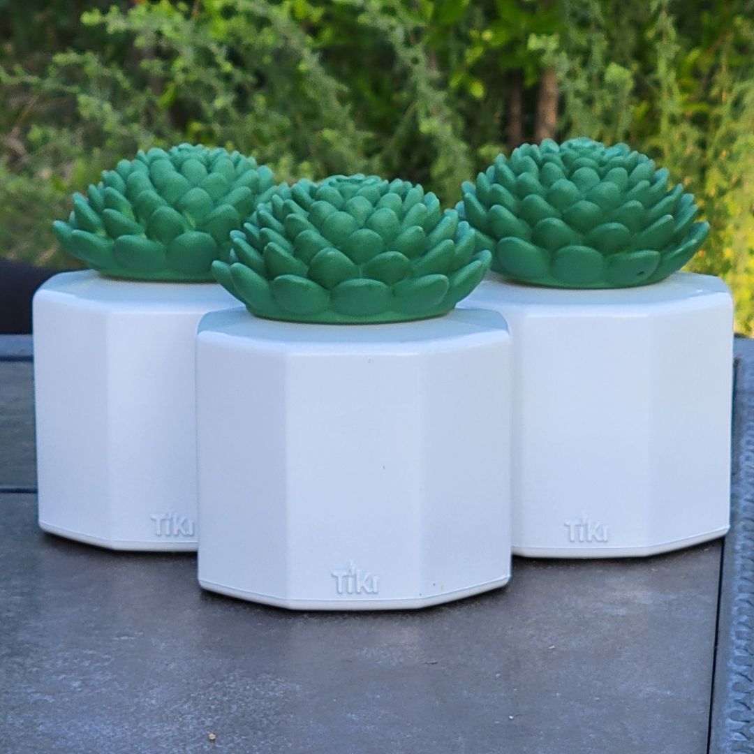 Three table top torches with snuffers shaped like succulents.