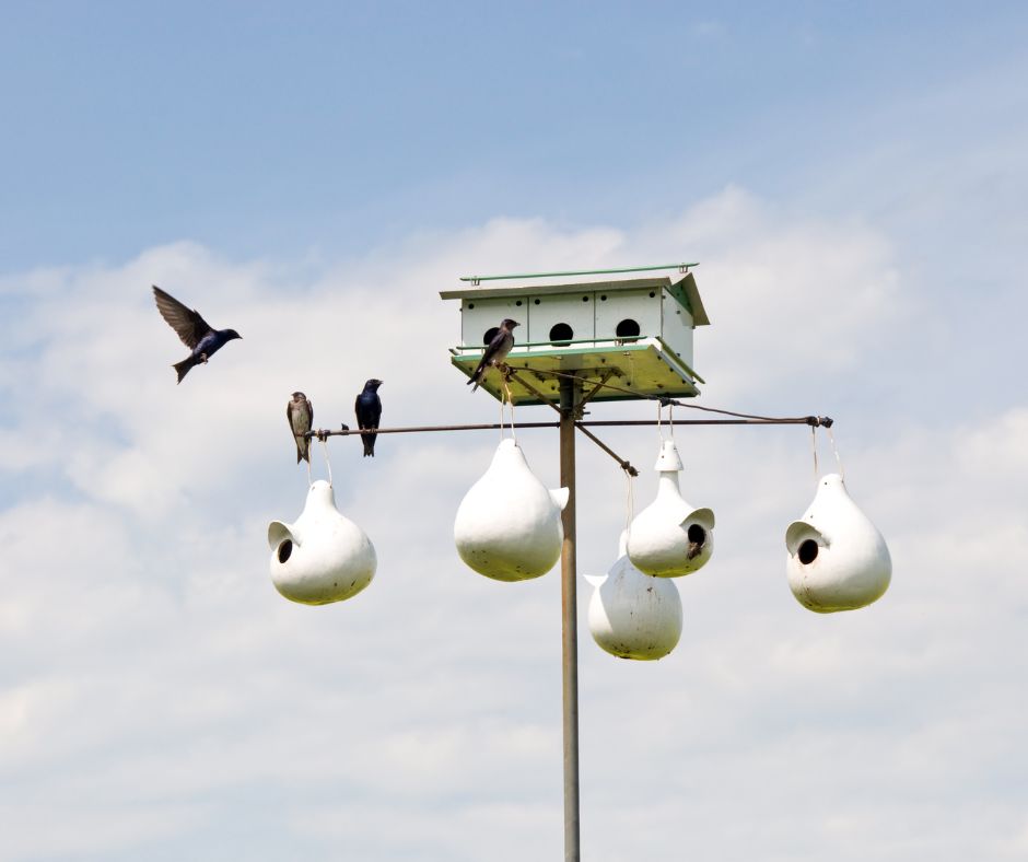 A purple martin house on a pole with a variety of nesting options.