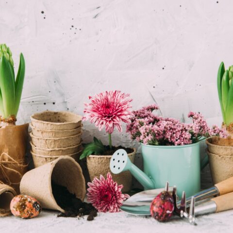 Patio plants and flowers with garden supplies.