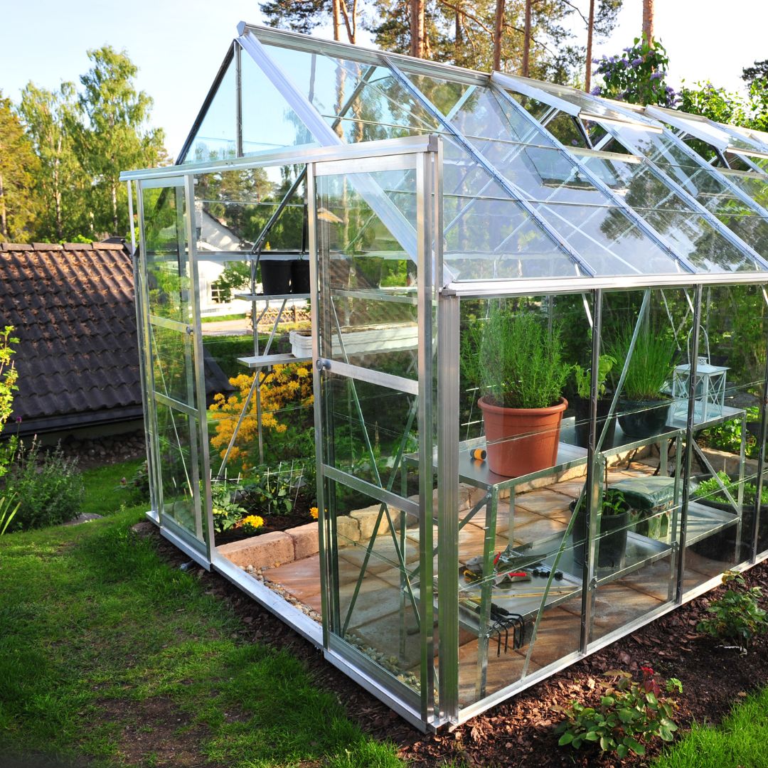 A small backyard glass greenhouse.