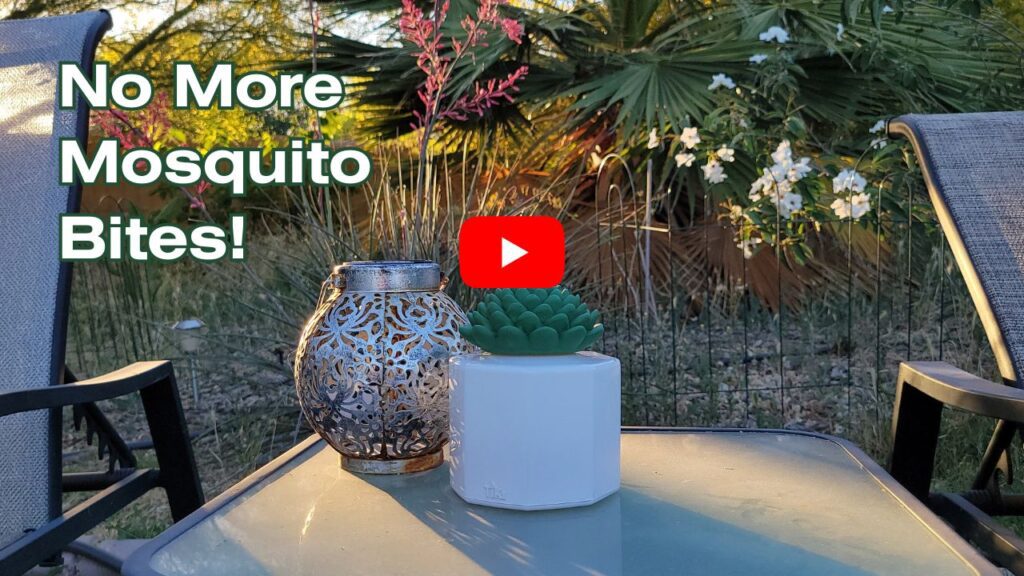 An outdoor seating area with a solar lantern and mosquito repelling tiki torch. 