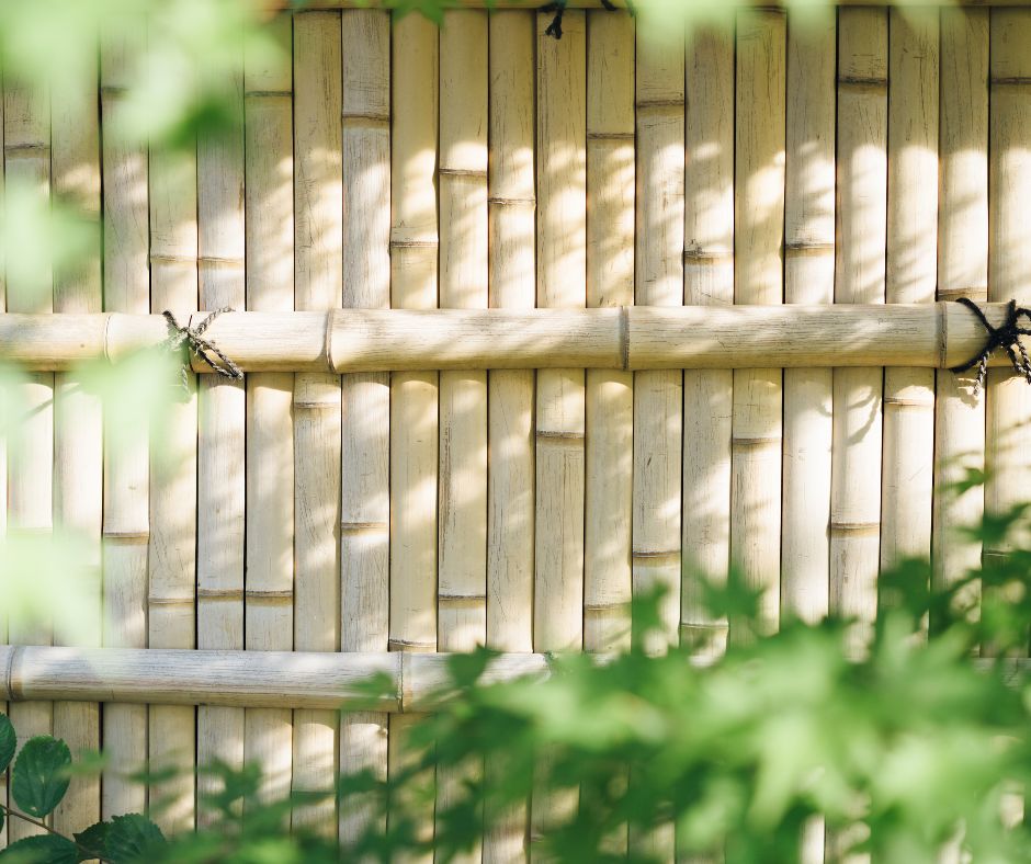 A bamboo privacy fence