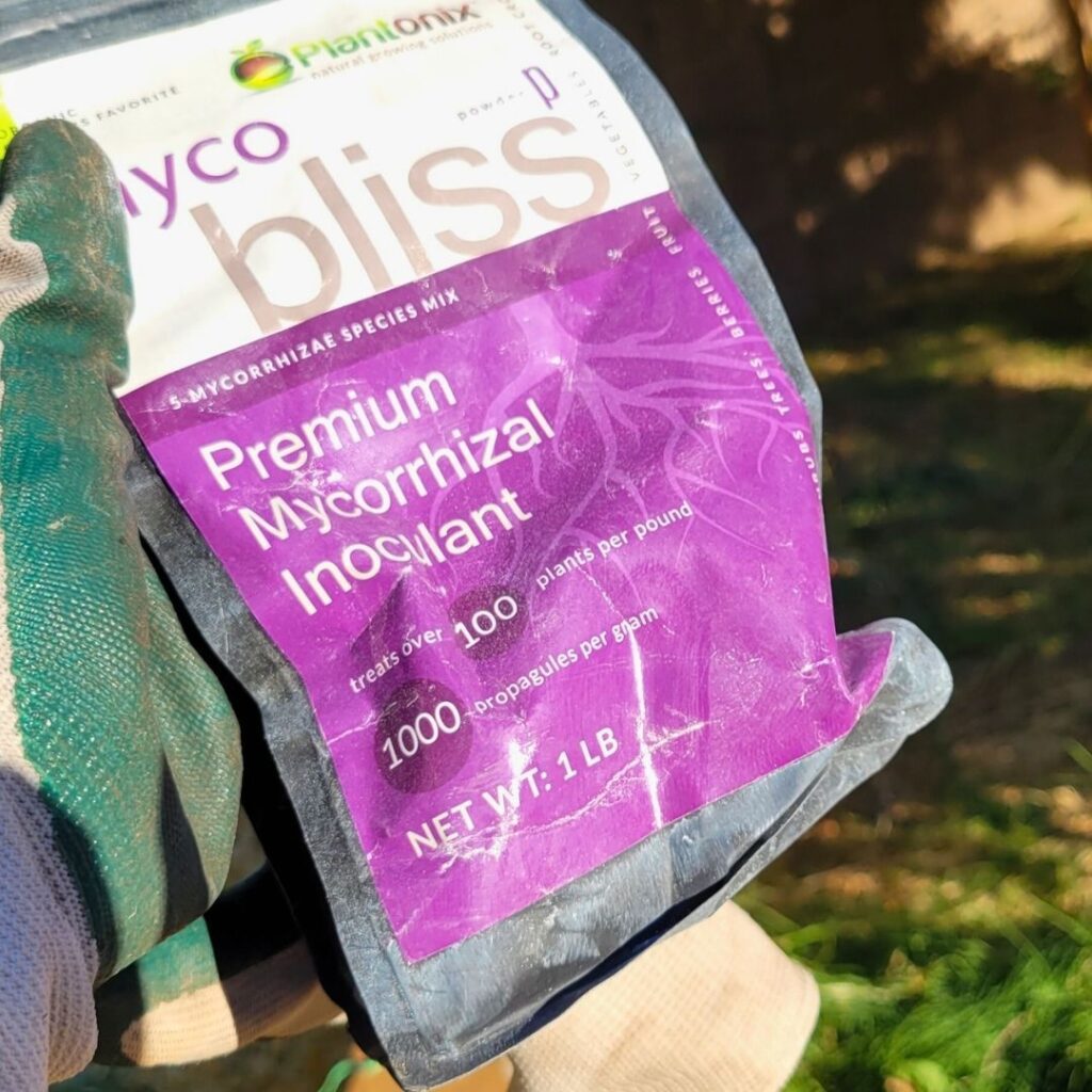 A gloved hand holding a bag of Myco bliss.