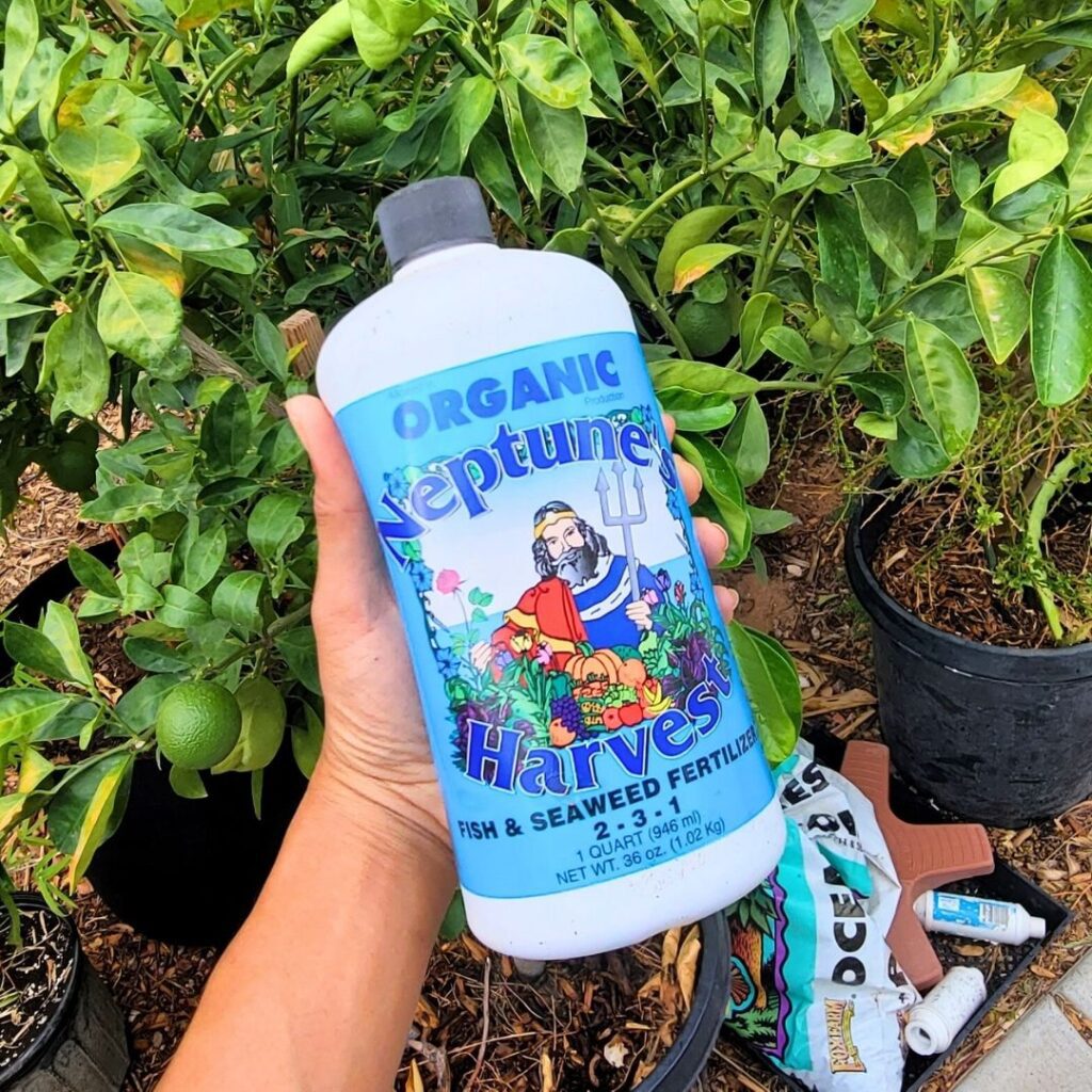 A hand holding a bottle of Neptune's Own plant fertilizer.